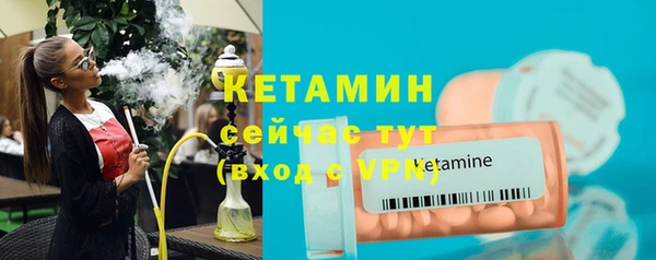 индика Сясьстрой
