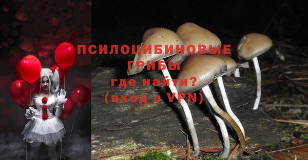 гашиш Пыталово