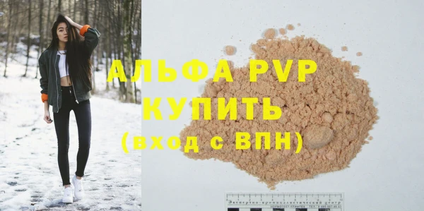 эйфоретик Тайга